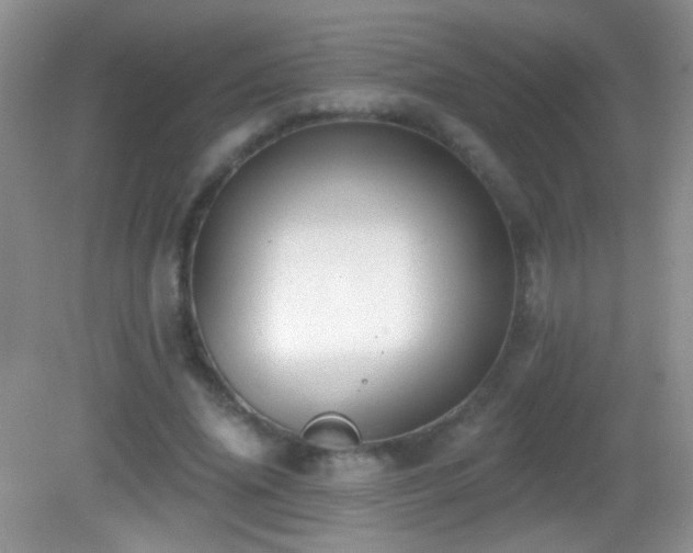 X0000083070636200702021256