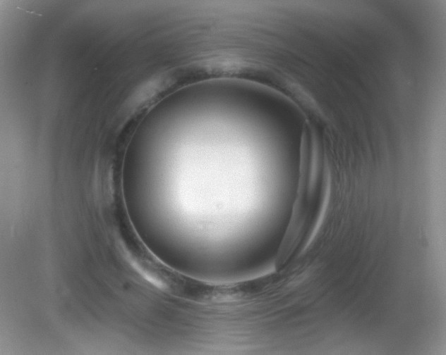 X0000083070638200702021256