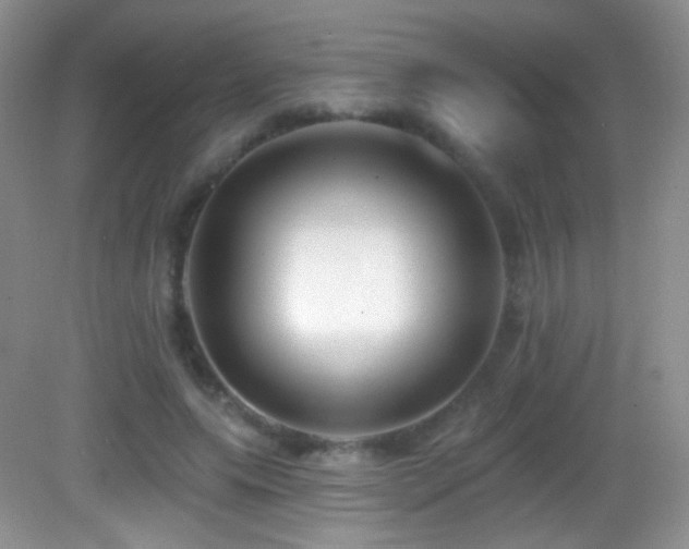 X0000083070639200702021256
