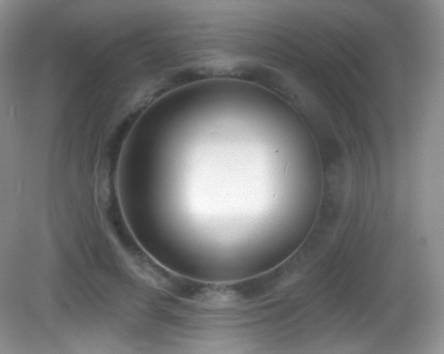 X0000083070642200702021256