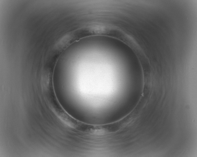 X0000083070645200702021256