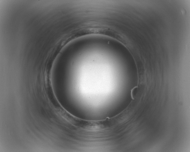 X0000083070646200702021256