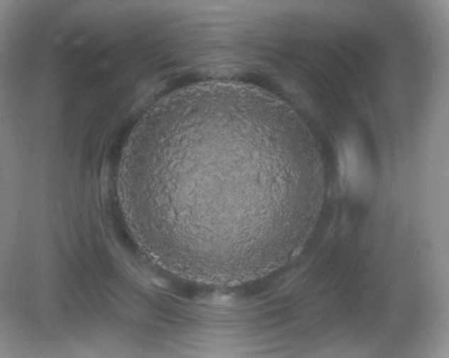 X0000083070647200702021256