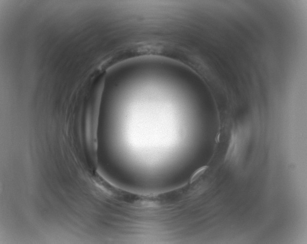 X0000083070649200702021256