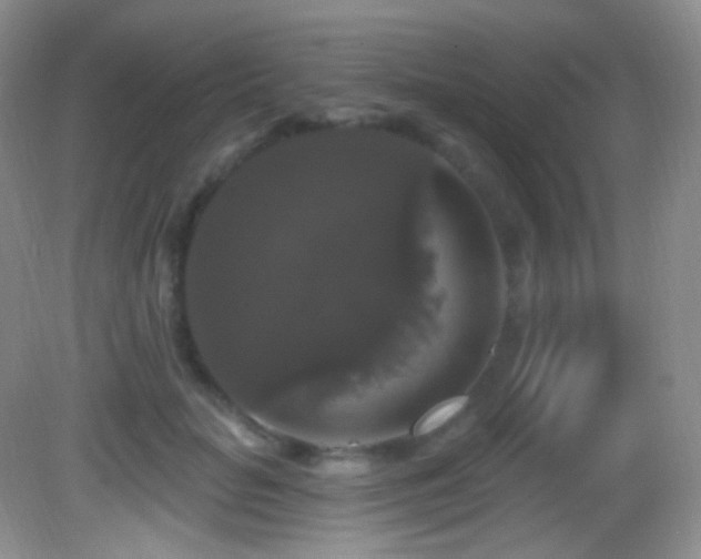 X0000083070653200702021256