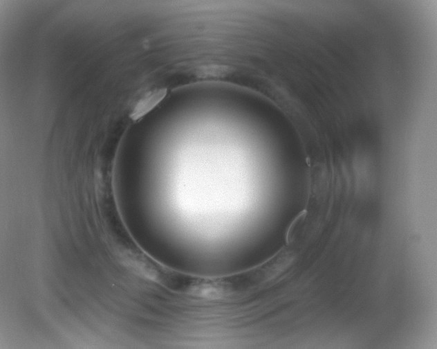 X0000083070655200702021256