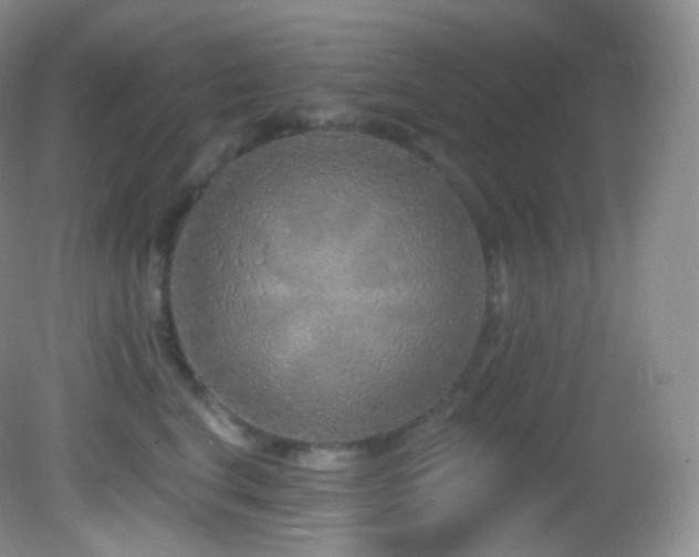 X0000083070664200702021256