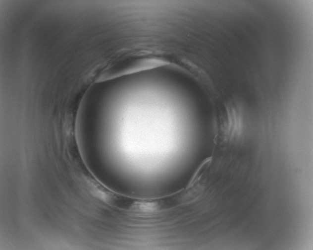 X0000083070665200702021256
