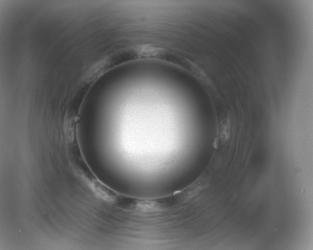 X0000083070666200702021256