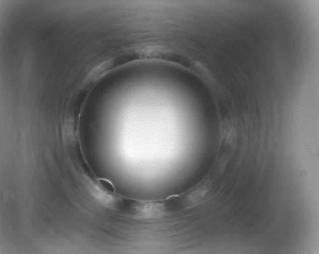 X0000083070670200702021256