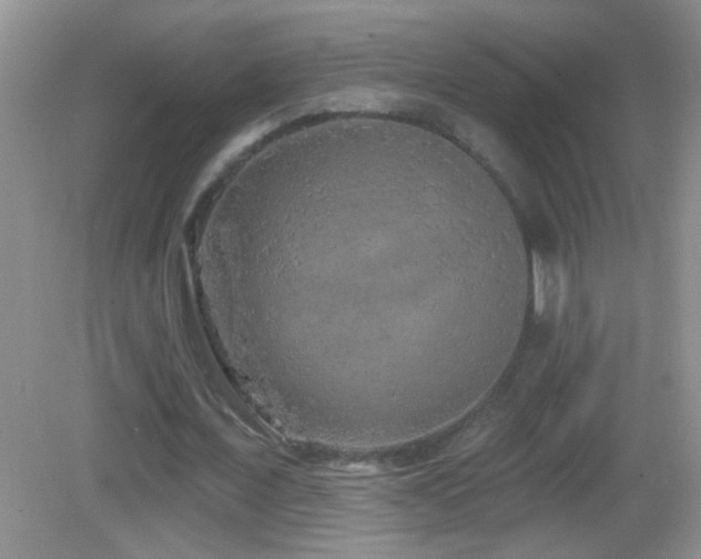 X0000083070675200702021255
