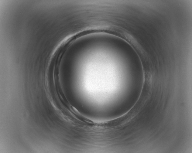 X0000083070676200702021255