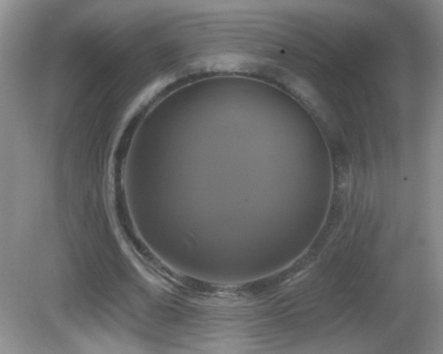 X0000083070678200702021255