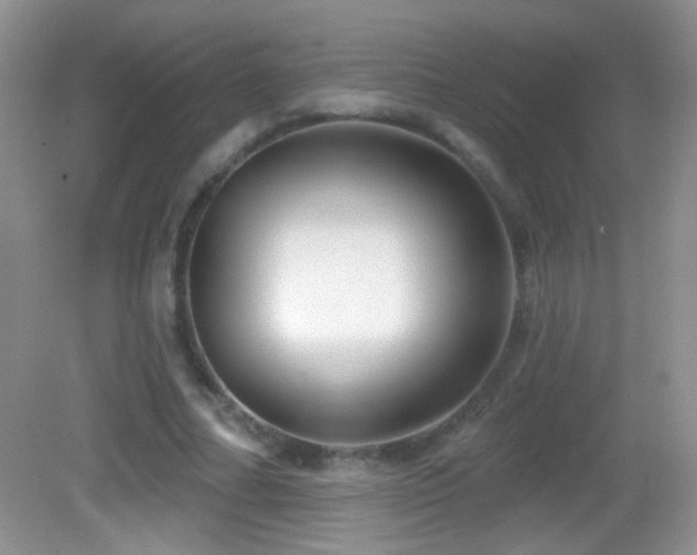 X0000083070682200702021255