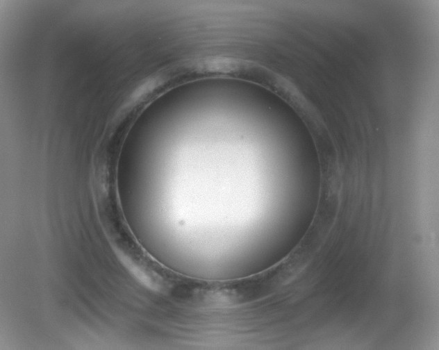 X0000083070683200702021255