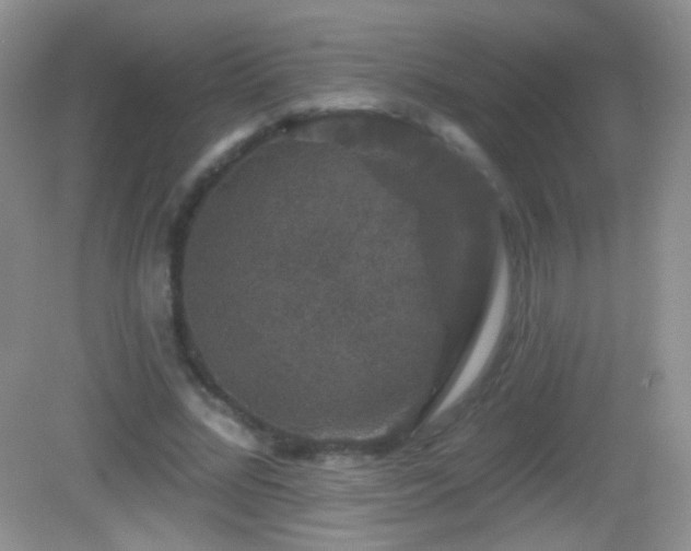 X0000083070684200702021255