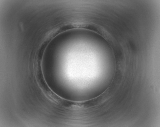 X0000083070690200702021255