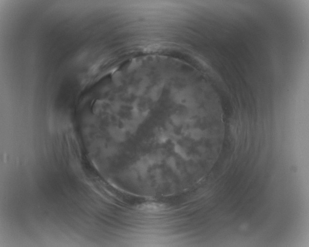 X0000083070691200702021255