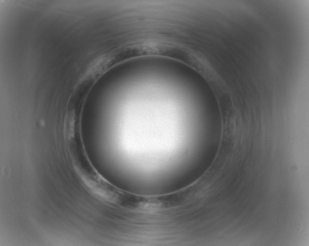 X0000083070694200702021255