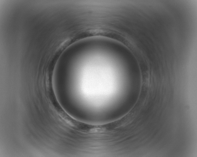 X0000083070700200702021255