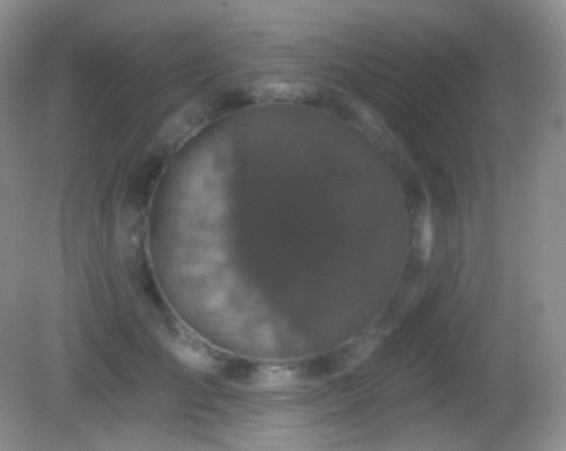 X0000083070701200702021255