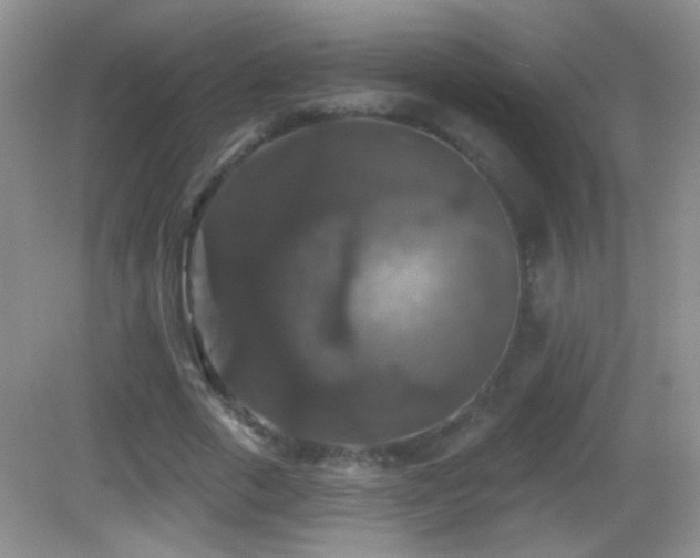 X0000083070729200702021254
