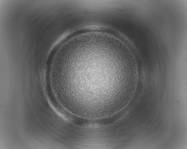X0000083070730200702021254