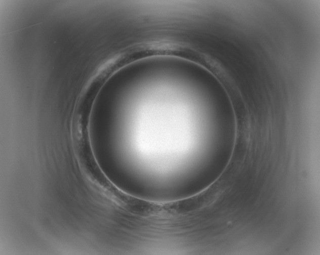 X0000083070731200702021254
