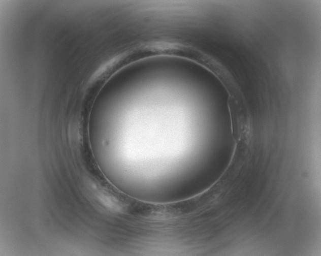 X0000083070732200702021254