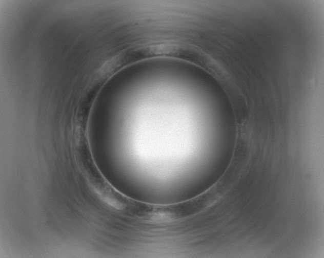 X0000083070741200702021254