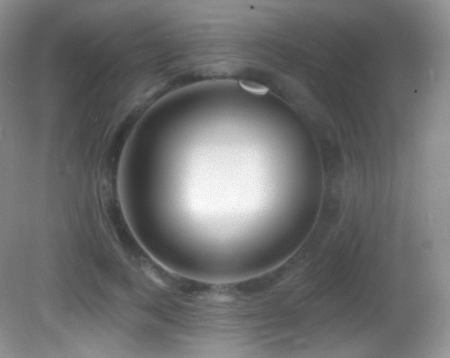 X0000083070743200702021254