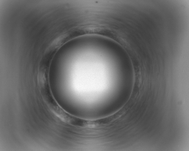 X0000083070746200702021254