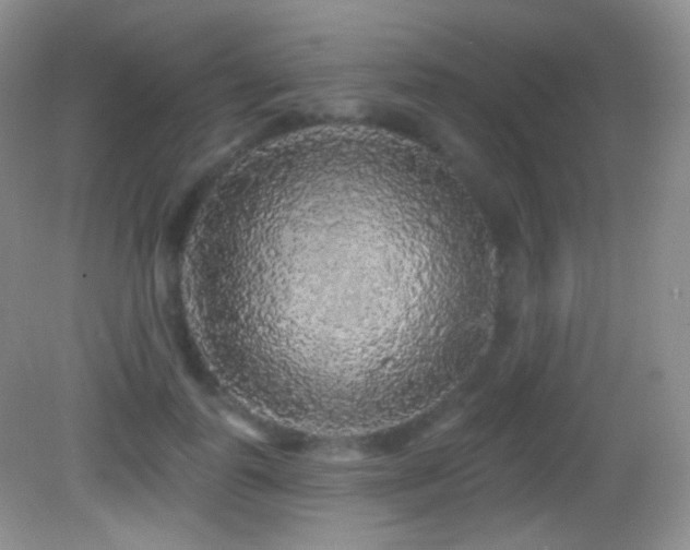 X0000083070747200702021254