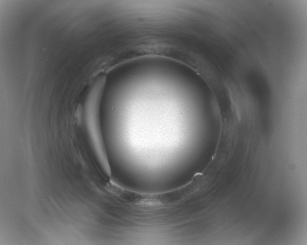 X0000083070749200702021254