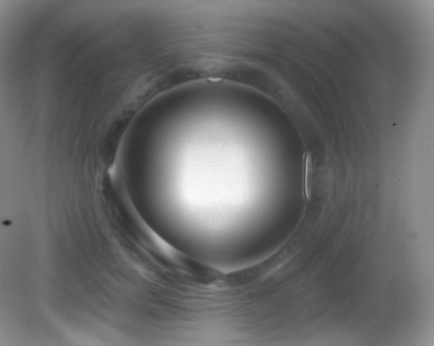 X0000083070750200702021254