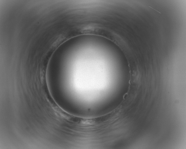 X0000083070753200702021254