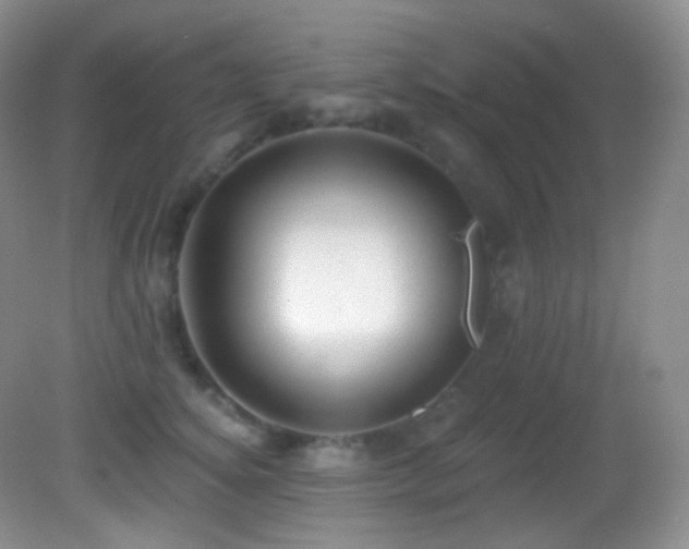 X0000083070756200702021254