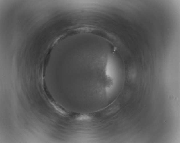 X0000083070759200702021255