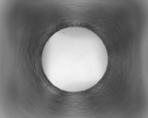 X0000083070769200702021254
