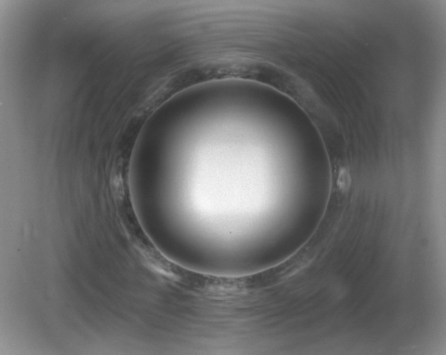 X0000083070771200702021254