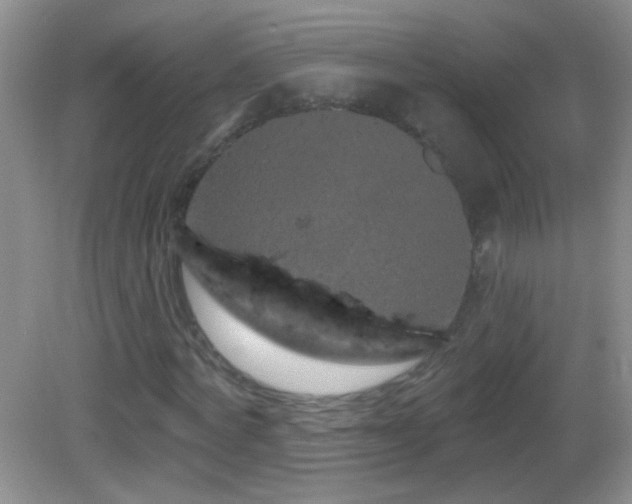 X0000083070772200702021254