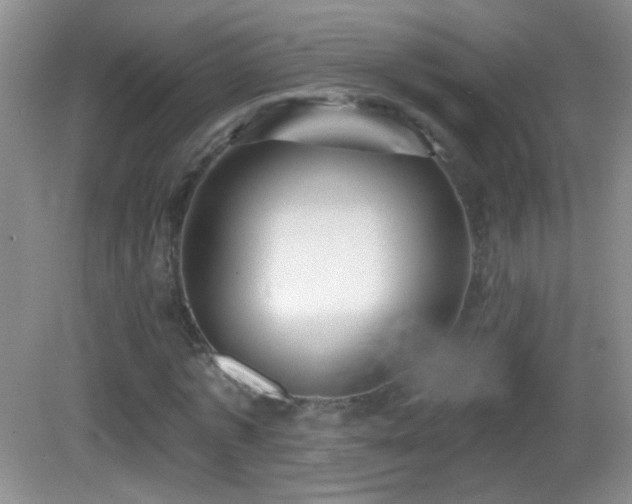 X0000083070773200702021254