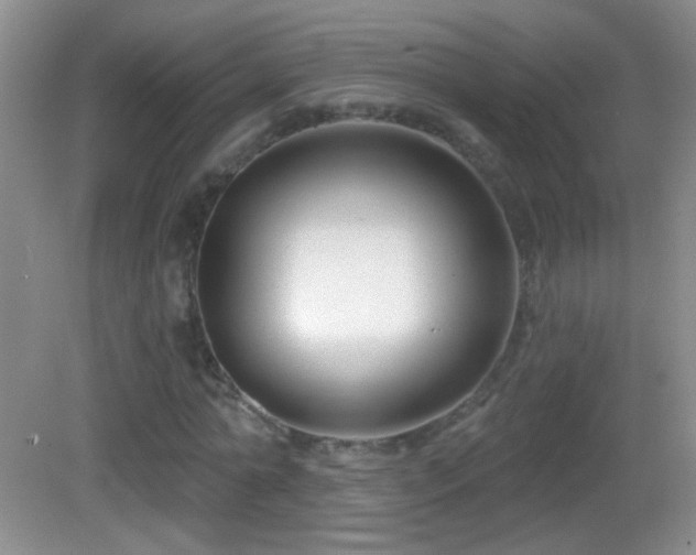 X0000083070774200702021254