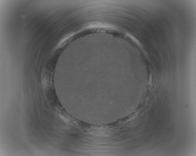 X0000083070775200702021254
