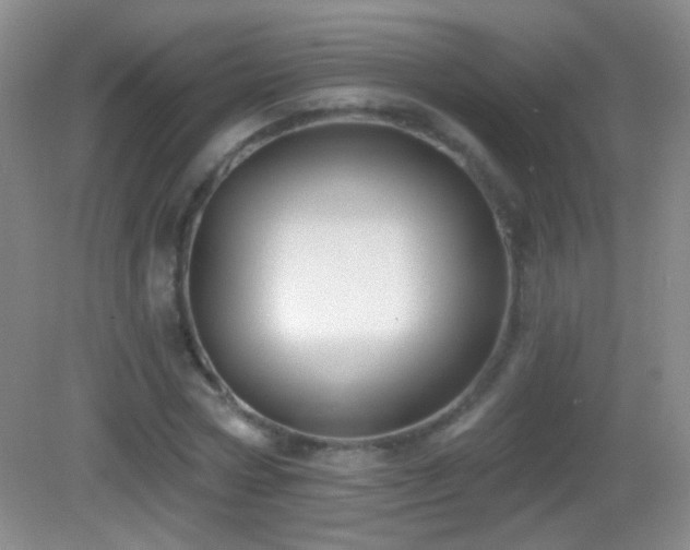 X0000083070778200702021254