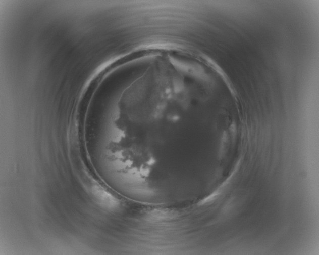 X0000083070779200702021254