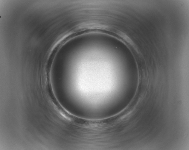 X0000083070782200702021254