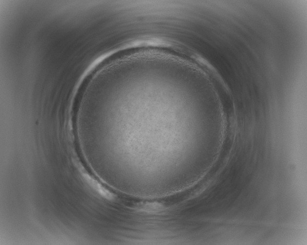 X0000083070784200702021254
