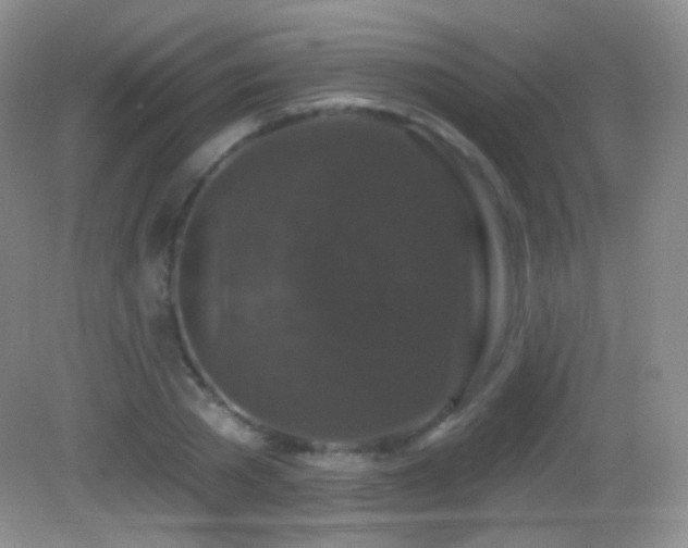 X0000083070785200702021254
