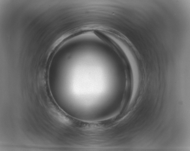 X0000083070786200702021254